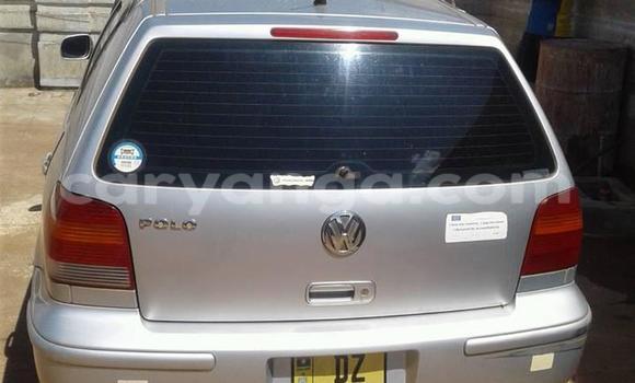 Buy Used Volkswagen Polo Silver Car in Limbe in Malawi Buy Used Volkswagen Polo Silver Car in Limbe in Malawi