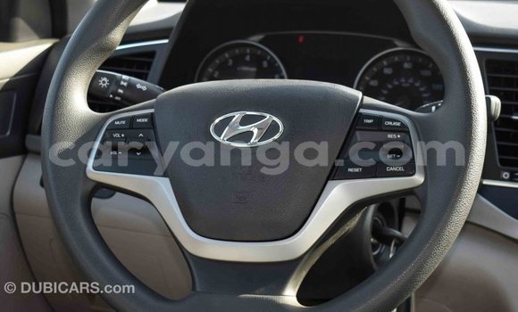 Buy Import Hyundai Elantra Blue Car in Import - Dubai in Malawi Buy Import Hyundai Elantra Blue Car in Import - Dubai in Malawi