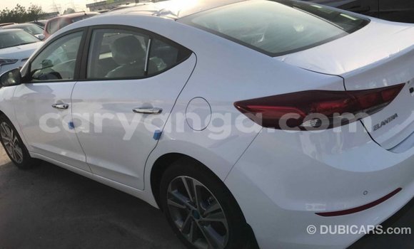 Buy Import Hyundai Elantra White Car in Import - Dubai in Malawi Buy Import Hyundai Elantra White Car in Import - Dubai in Malawi