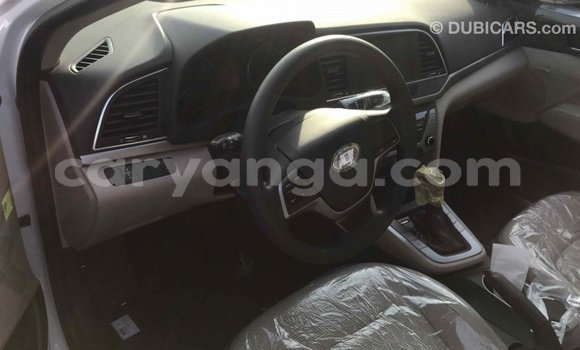 Buy Import Hyundai Elantra White Car in Import - Dubai in Malawi Buy Import Hyundai Elantra White Car in Import - Dubai in Malawi