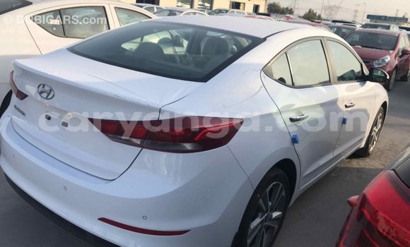 Buy Import Hyundai Elantra White Car in Import - Dubai in Malawi Buy Import Hyundai Elantra White Car in Import - Dubai in Malawi