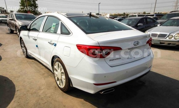Buy Import Hyundai Sonata White Car in Import - Dubai in Malawi Buy Import Hyundai Sonata White Car in Import - Dubai in Malawi
