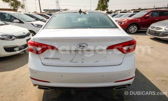 Buy Import Hyundai Sonata White Car in Import - Dubai in Malawi Buy Import Hyundai Sonata White Car in Import - Dubai in Malawi