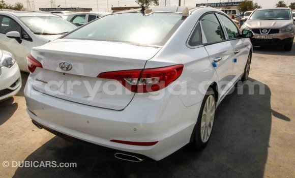 Buy Import Hyundai Sonata White Car in Import - Dubai in Malawi Buy Import Hyundai Sonata White Car in Import - Dubai in Malawi