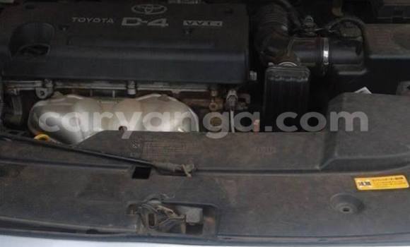 Buy Used Toyota Probox Silver Car in Limbe in Malawi Buy Used Toyota Probox Silver Car in Limbe in Malawi