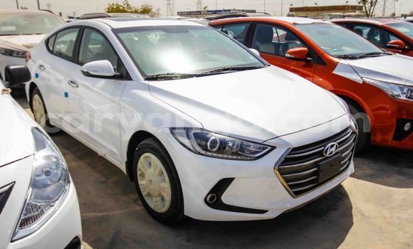 Buy Import Hyundai Elantra White Car in Import - Dubai in Malawi Buy Import Hyundai Elantra White Car in Import - Dubai in Malawi