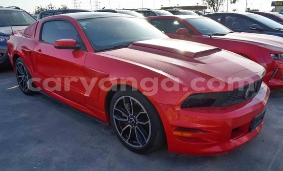 Buy Import Ford Mustang Red Car in Import - Dubai in Malawi Buy Import Ford Mustang Red Car in Import - Dubai in Malawi