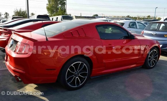 Buy Import Ford Mustang Red Car in Import - Dubai in Malawi Buy Import Ford Mustang Red Car in Import - Dubai in Malawi