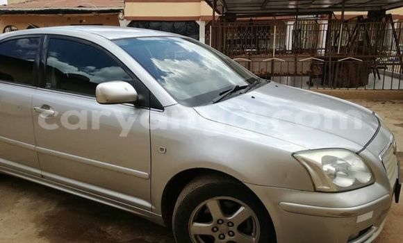 Buy Used Toyota Avensis Silver Car in Limbe in Malawi