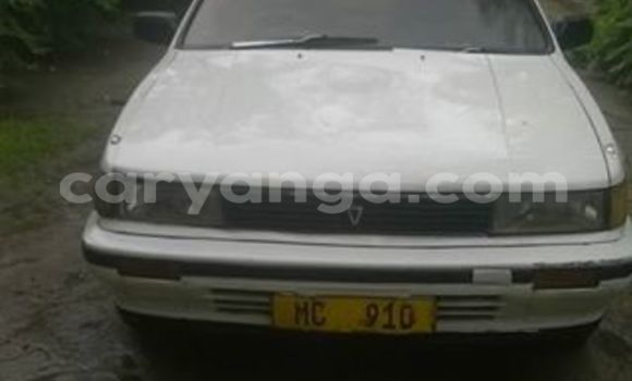 Buy Used Nissan Sunny White Car in Limbe in Malawi