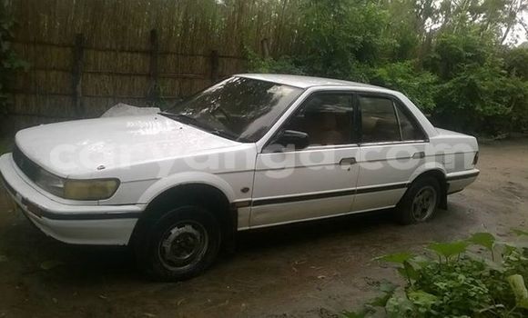 Buy Used Nissan Sunny White Car in Limbe in Malawi Buy Used Nissan Sunny White Car in Limbe in Malawi
