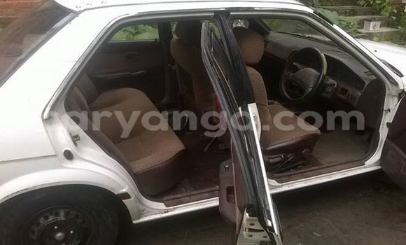Buy Used Nissan Sunny White Car in Limbe in Malawi Buy Used Nissan Sunny White Car in Limbe in Malawi