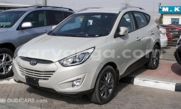 Nunua Imported Hyundai Tucson Beige Gari ndani ya Import - Dubai nchini Malawi Nunua Imported Hyundai Tucson Beige Gari ndani ya Import - Dubai nchini Malawi