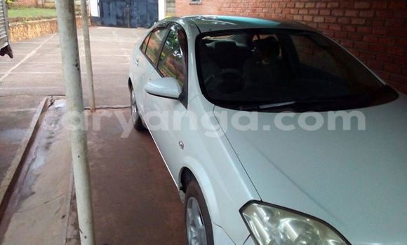Acheter Occasion Voiture Nissan Primera Autre à Limbe, Malawi Acheter Occasion Voiture Nissan Primera Autre à Limbe, Malawi