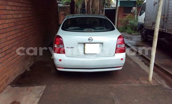 Acheter Occasion Voiture Nissan Primera Autre à Limbe, Malawi Acheter Occasion Voiture Nissan Primera Autre à Limbe, Malawi