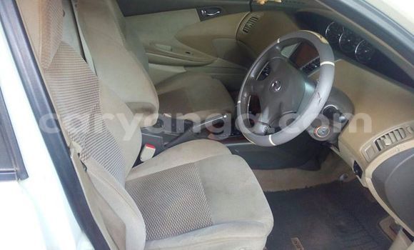 Acheter Occasion Voiture Nissan Primera Autre à Limbe, Malawi Acheter Occasion Voiture Nissan Primera Autre à Limbe, Malawi