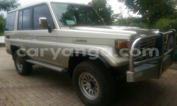 Buy Used Toyota Land Cruiser Silver Car in Limbe in Malawi