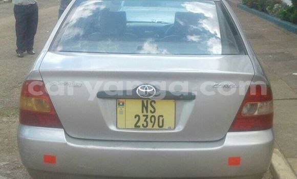 Buy Used Toyota Corolla Silver Car in Limbe in Malawi Buy Used Toyota Corolla Silver Car in Limbe in Malawi