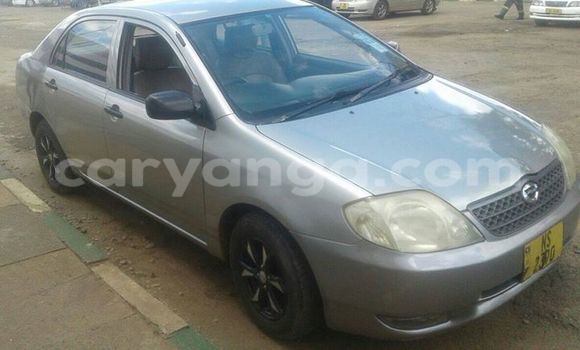 Buy Used Toyota Corolla Silver Car in Limbe in Malawi Buy Used Toyota Corolla Silver Car in Limbe in Malawi