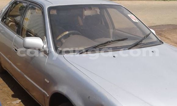 Buy Used Toyota Corolla White Car in Limbe in Malawi Buy Used Toyota Corolla White Car in Limbe in Malawi