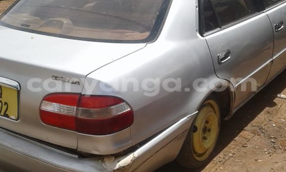 Buy Used Toyota Corolla White Car in Limbe in Malawi Buy Used Toyota Corolla White Car in Limbe in Malawi