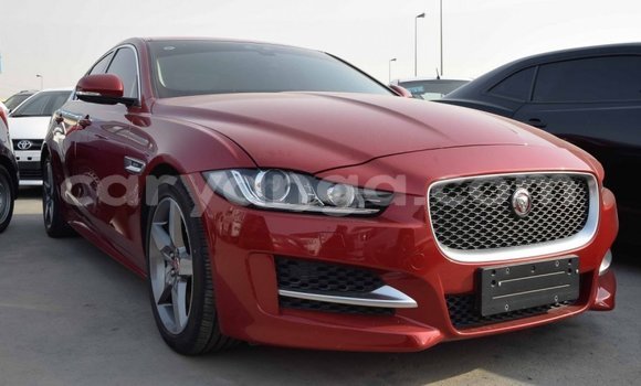 Buy Import Jaguar XE Red Car in Import - Dubai in Malawi