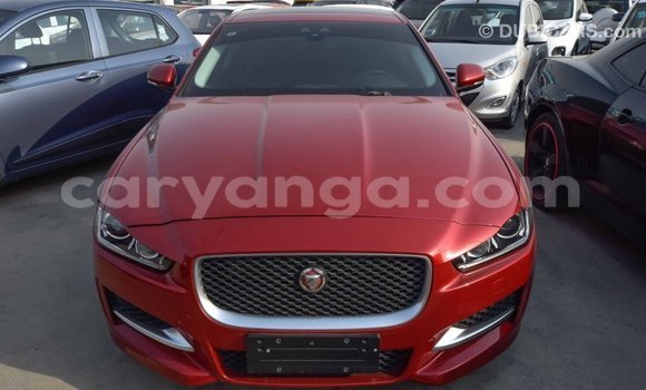 Buy Import Jaguar XE Red Car in Import - Dubai in Malawi Buy Import Jaguar XE Red Car in Import - Dubai in Malawi