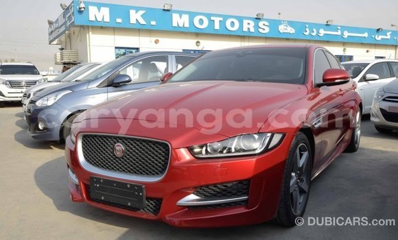 Buy Import Jaguar XE Red Car in Import - Dubai in Malawi Buy Import Jaguar XE Red Car in Import - Dubai in Malawi