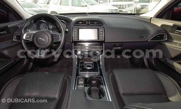 Buy Import Jaguar XE Red Car in Import - Dubai in Malawi Buy Import Jaguar XE Red Car in Import - Dubai in Malawi
