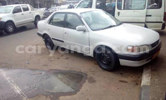 Buy Used Toyota Corolla White Car in Limbe in Malawi Buy Used Toyota Corolla White Car in Limbe in Malawi