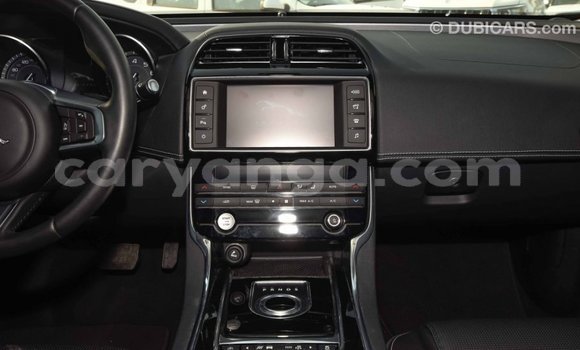 Buy Import Jaguar XE Red Car in Import - Dubai in Malawi Buy Import Jaguar XE Red Car in Import - Dubai in Malawi