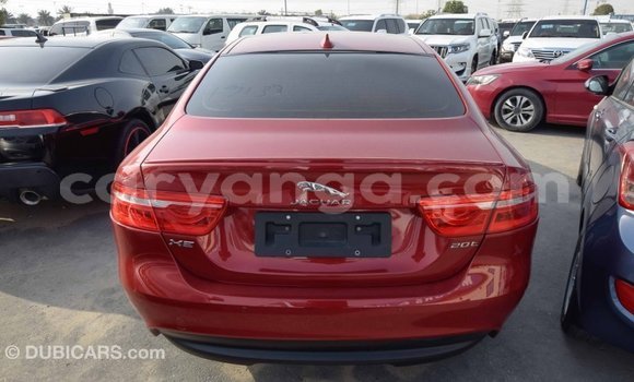 Buy Import Jaguar XE Red Car in Import - Dubai in Malawi Buy Import Jaguar XE Red Car in Import - Dubai in Malawi
