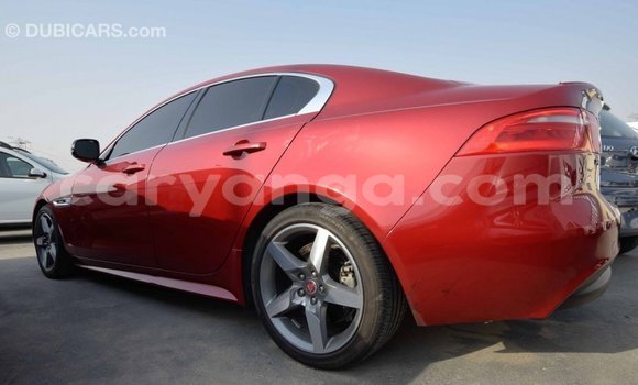 Buy Import Jaguar XE Red Car in Import - Dubai in Malawi Buy Import Jaguar XE Red Car in Import - Dubai in Malawi