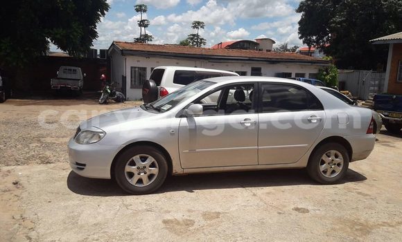 Buy Used Toyota Corolla Silver Car in Limbe in Malawi