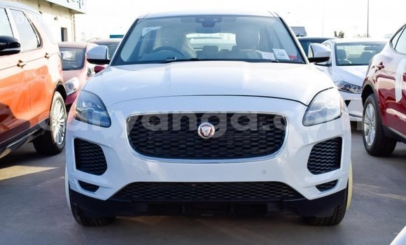 Buy Import Jaguar E-Pace White Car in Import - Dubai in Malawi Buy Import Jaguar E-Pace White Car in Import - Dubai in Malawi