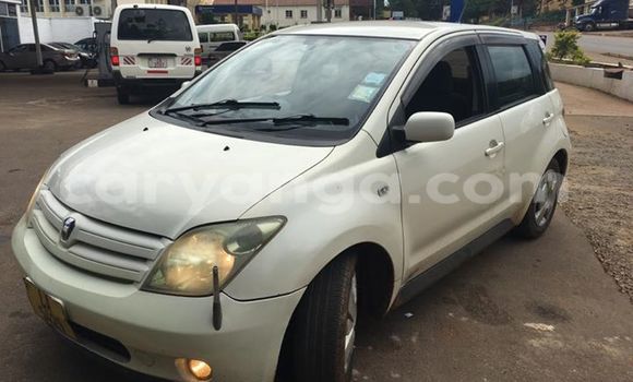 Buy Used Toyota IST White Car in Limbe in Malawi Buy Used Toyota IST White Car in Limbe in Malawi