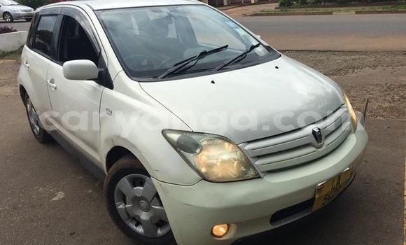 Buy Used Toyota IST White Car in Limbe in Malawi Buy Used Toyota IST White Car in Limbe in Malawi