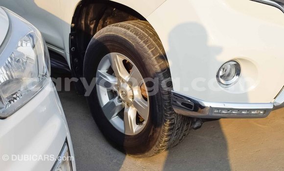 Nunua Imported Toyota Prado White Gari ndani ya Import - Dubai nchini Malawi Nunua Imported Toyota Prado White Gari ndani ya Import - Dubai nchini Malawi