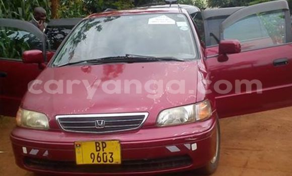 Buy Used Honda Odyssey Red Car in Limbe in Malawi Buy Used Honda Odyssey Red Car in Limbe in Malawi