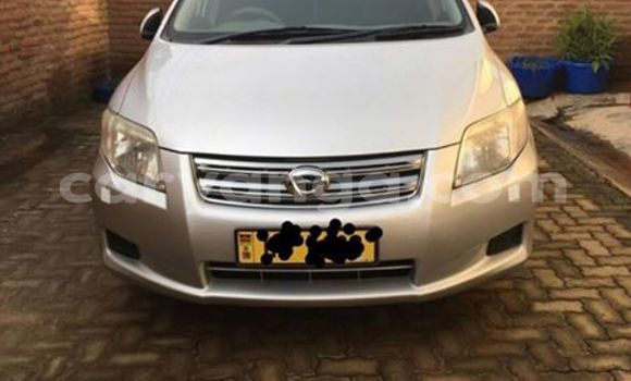 Acheter Occasion Voiture Toyota Axio Gris à Limbe, Malawi Acheter Occasion Voiture Toyota Axio Gris à Limbe, Malawi