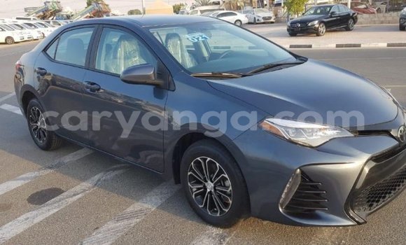 Nunua Imported Toyota Corolla Other Gari ndani ya Import - Dubai nchini Malawi Nunua Imported Toyota Corolla Other Gari ndani ya Import - Dubai nchini Malawi