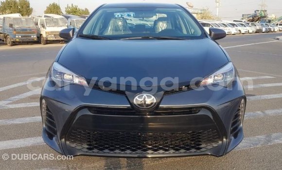 Nunua Imported Toyota Corolla Other Gari ndani ya Import - Dubai nchini Malawi Nunua Imported Toyota Corolla Other Gari ndani ya Import - Dubai nchini Malawi