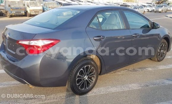 Nunua Imported Toyota Corolla Other Gari ndani ya Import - Dubai nchini Malawi Nunua Imported Toyota Corolla Other Gari ndani ya Import - Dubai nchini Malawi