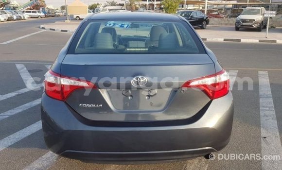 Nunua Imported Toyota Corolla Other Gari ndani ya Import - Dubai nchini Malawi Nunua Imported Toyota Corolla Other Gari ndani ya Import - Dubai nchini Malawi