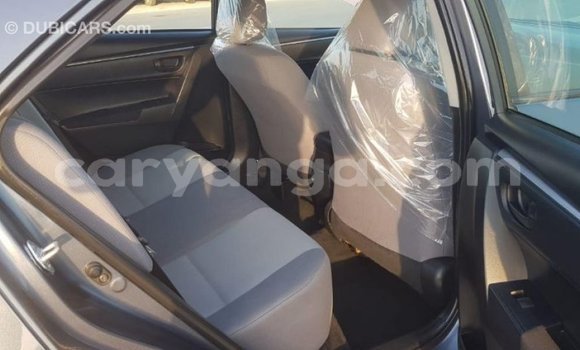 Nunua Imported Toyota Corolla Other Gari ndani ya Import - Dubai nchini Malawi Nunua Imported Toyota Corolla Other Gari ndani ya Import - Dubai nchini Malawi