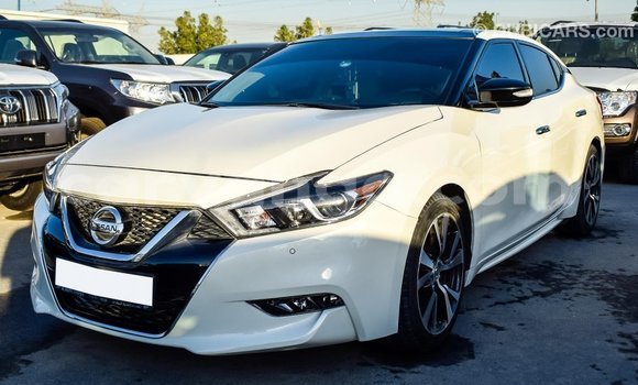 Nunua Imported Nissan Maxima White Gari ndani ya Import - Dubai nchini Malawi Nunua Imported Nissan Maxima White Gari ndani ya Import - Dubai nchini Malawi