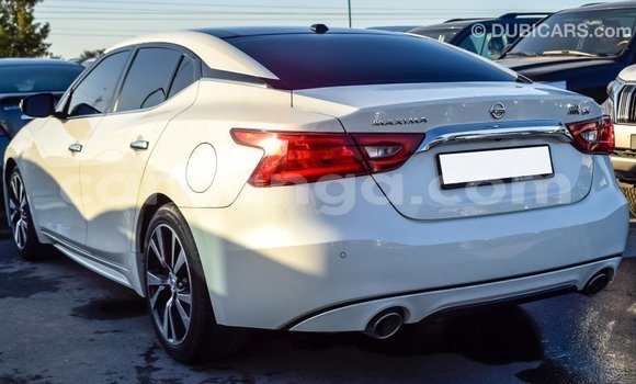 Nunua Imported Nissan Maxima White Gari ndani ya Import - Dubai nchini Malawi Nunua Imported Nissan Maxima White Gari ndani ya Import - Dubai nchini Malawi