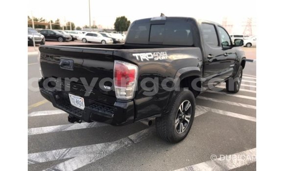 Buy Import Toyota Tacoma Black Car in Import - Dubai in Malawi Buy Import Toyota Tacoma Black Car in Import - Dubai in Malawi