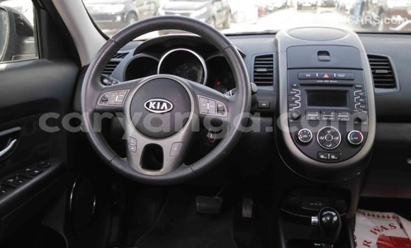 Buy Import Kia Soul Black Car in Import - Dubai in Malawi Buy Import Kia Soul Black Car in Import - Dubai in Malawi