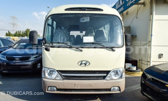Nunua Imported Hyundai Chorus Beige Lori ndani ya Import - Dubai nchini Malawi Nunua Imported Hyundai Chorus Beige Lori ndani ya Import - Dubai nchini Malawi
